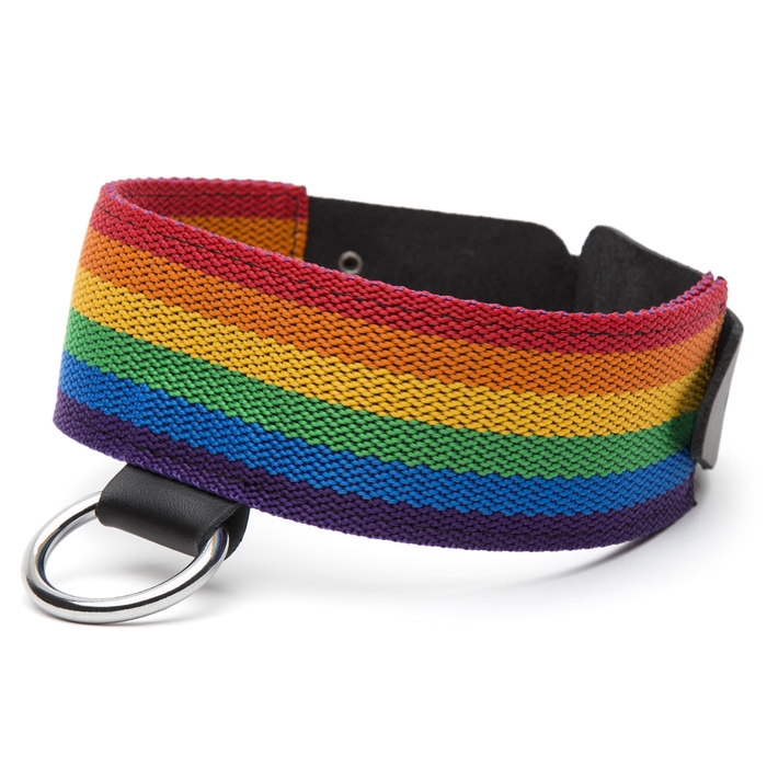 Bondage Boutique Rainbow and Leather Collar - Bondage Boutique