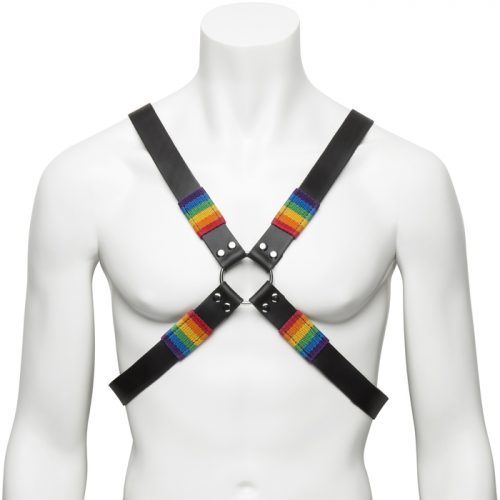 Bondage Boutique Rainbow and Leather Harness - Bondage Boutique