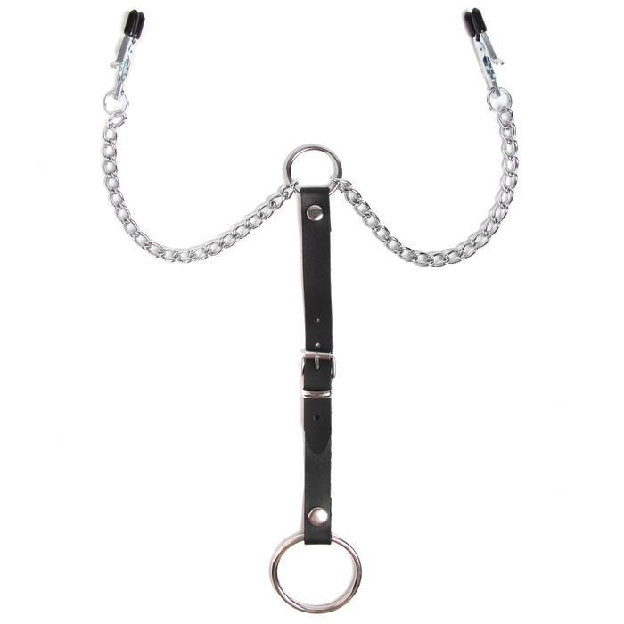 DOMINIX Deluxe Advanced Nipple Clamps with Cock Ring - DOMINIX